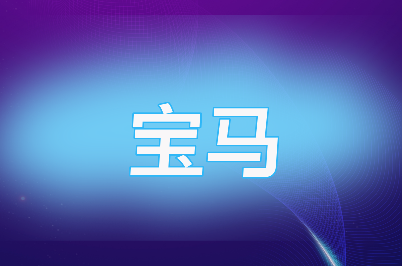 宝马全局动态ip